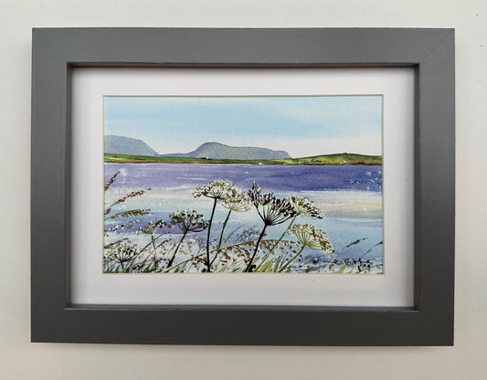 Small framed print/Summers day at stenness loch