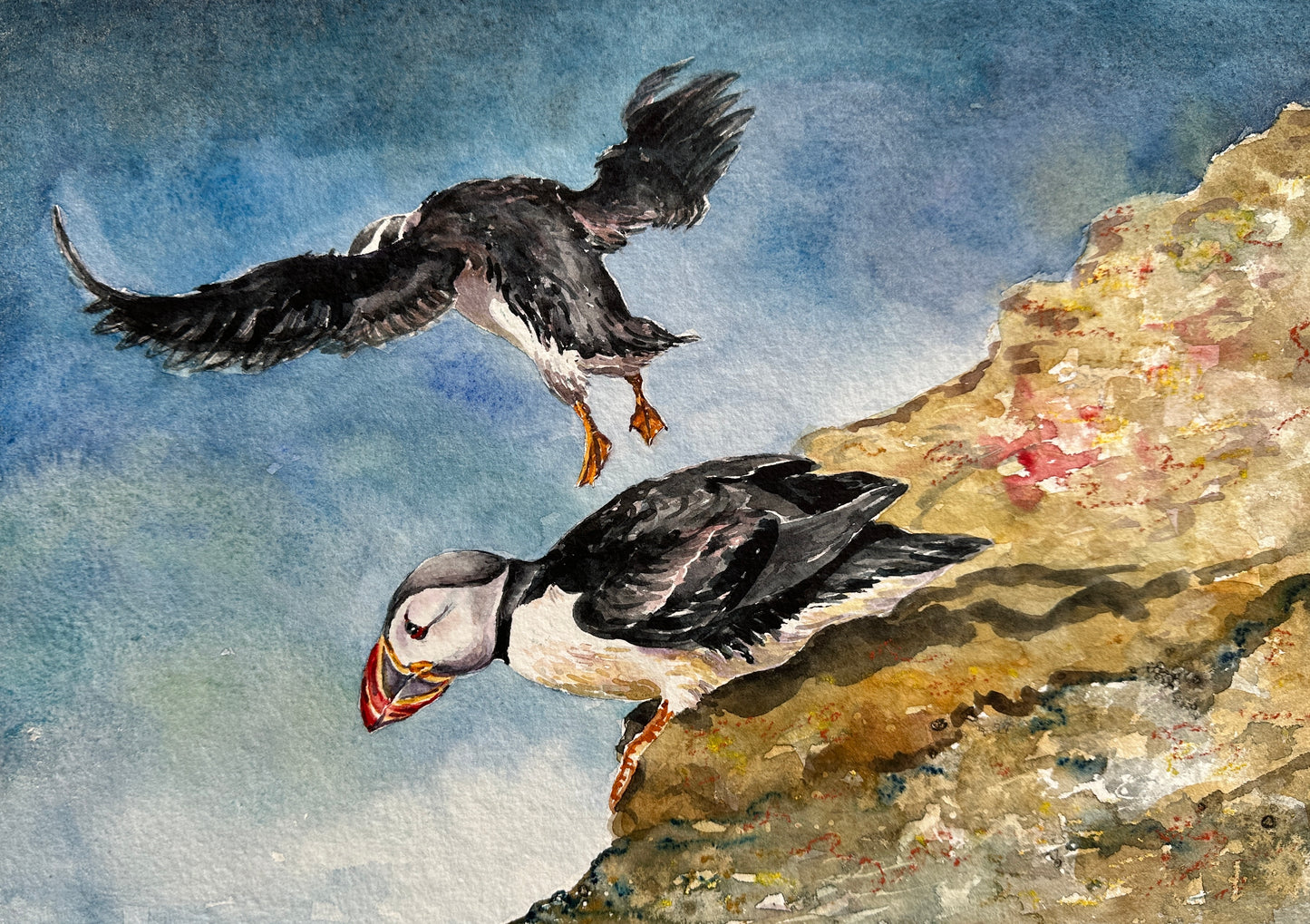 NEW! Original painting/Puffins taking flight