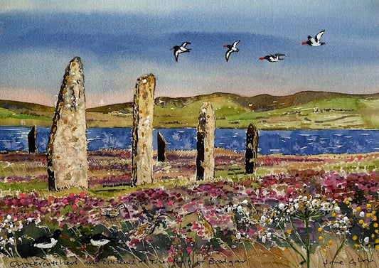 Hand finished print A4 size /Oystercatchers and curlews at The Ring of Brodgar