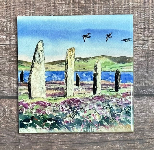 Medium ceramic tile/Oystercatchers and curlews at The Ring of Brodgar