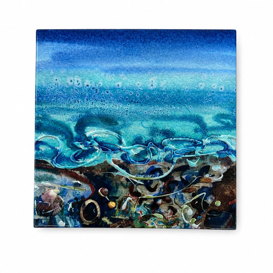 Medium ceramic tile/Shorelines