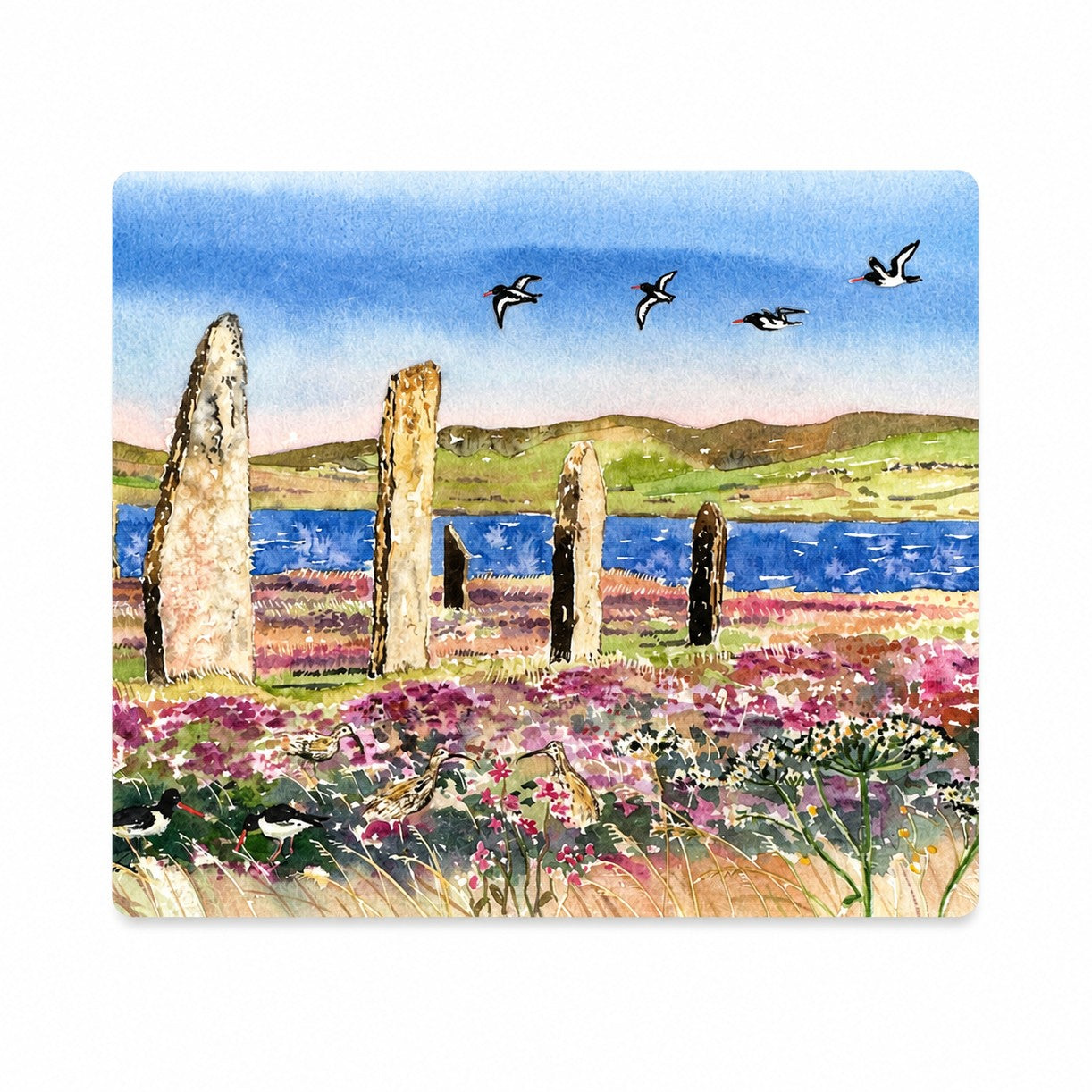 Tablemat/Oystercatchers and curlews at The Ring of Brodgar