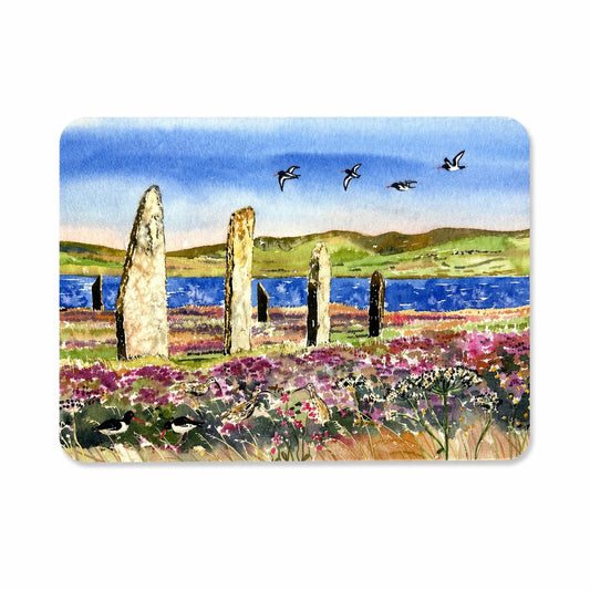 Long Coaster/Oystercatchers and curlews at The Ring of Brodgar