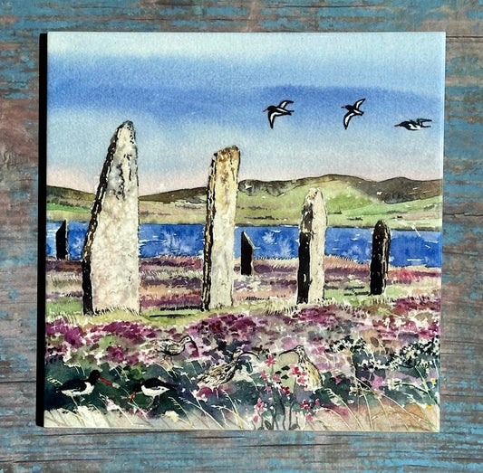 Large ceramic tile/Oystercatchers and curlews at The ring of Brodgar