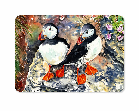 Long Coaster/Puffin twins