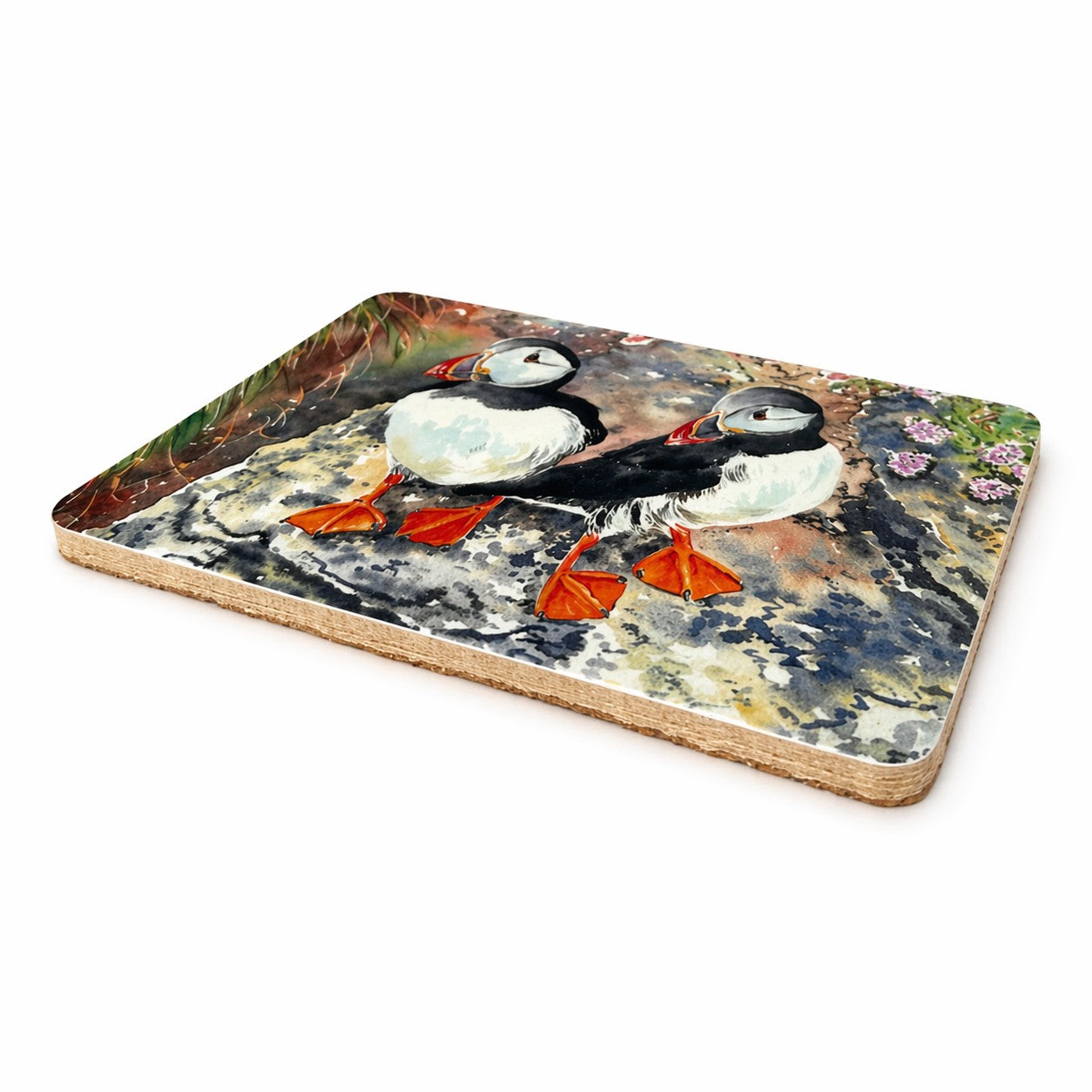 Long Coaster/Puffin twins