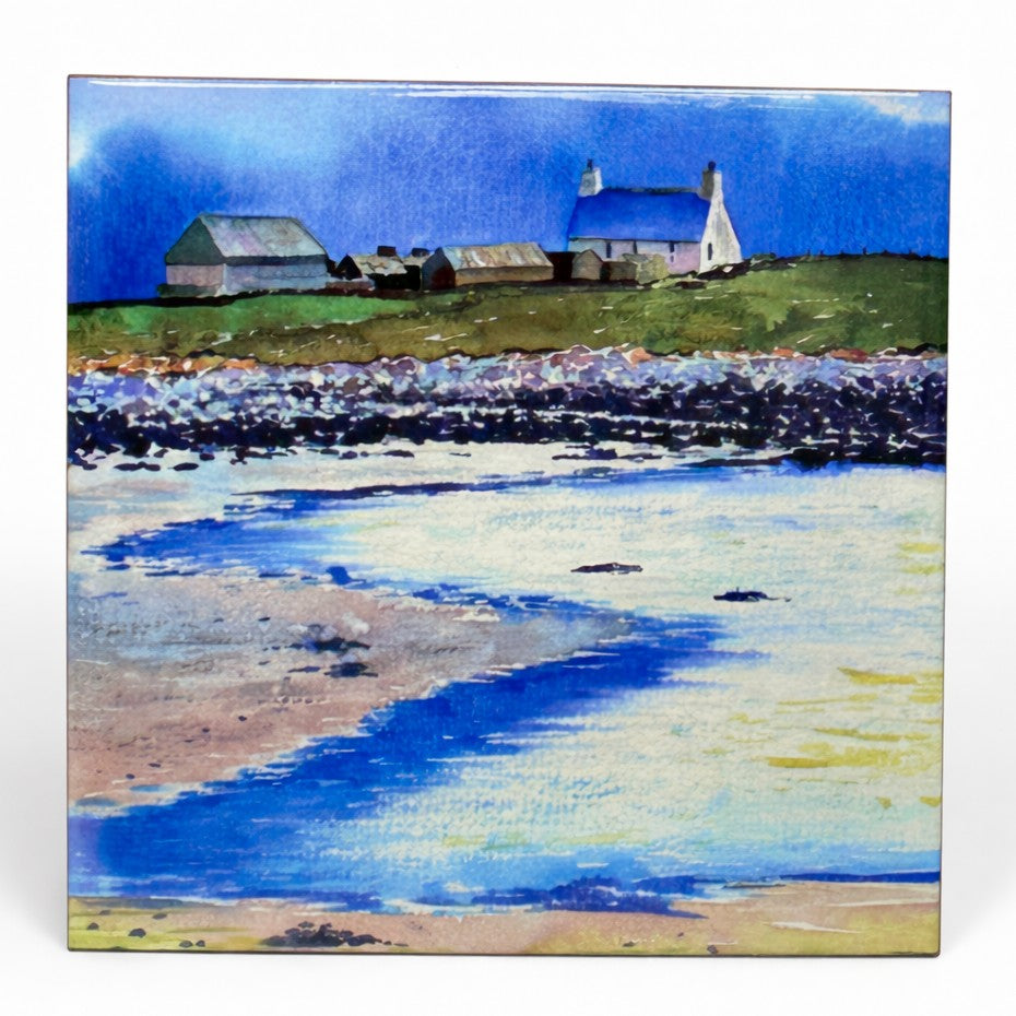 Medium ceramic tile/House with a blue roof