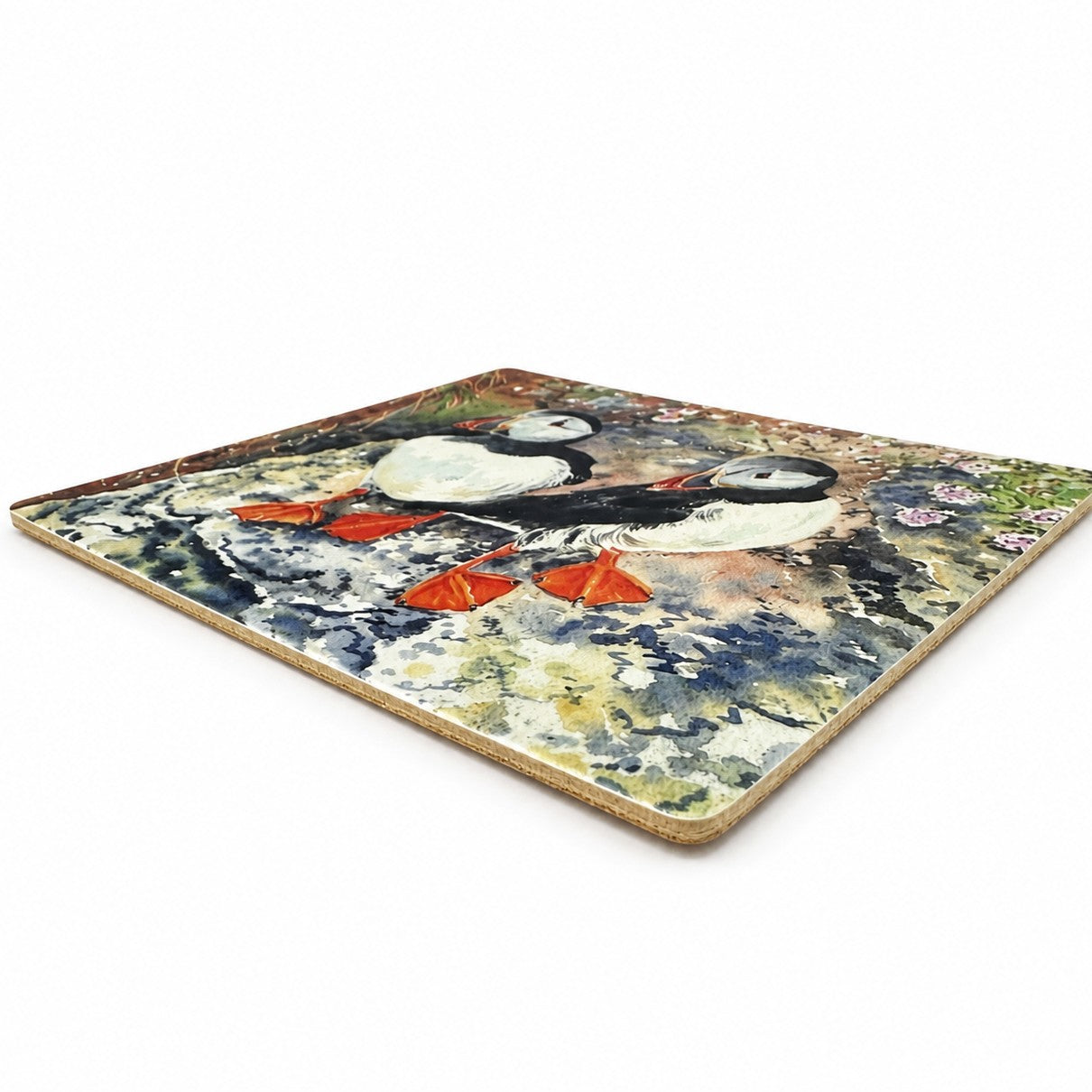 Tablemat/Puffin twins