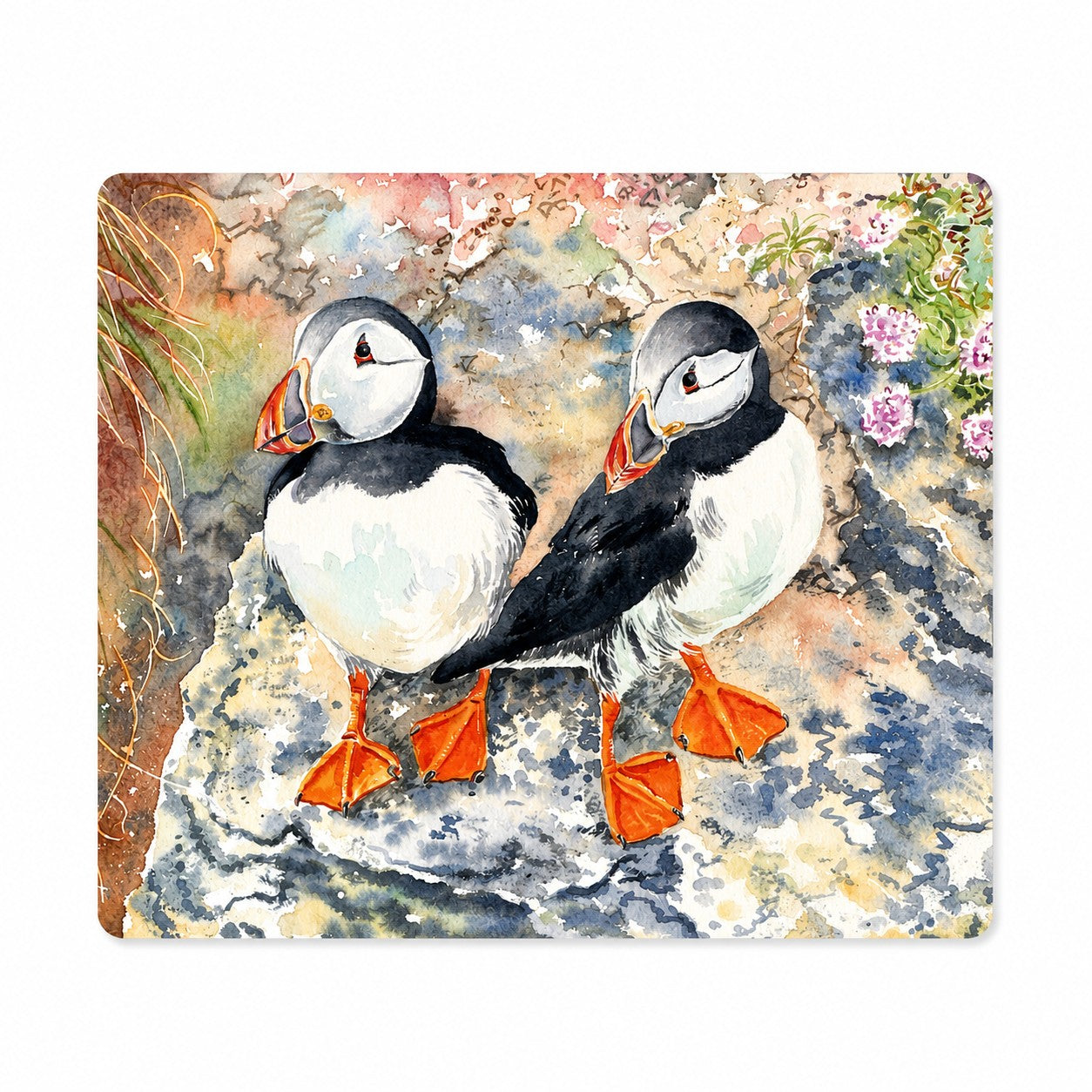 Tablemat/Puffin twins