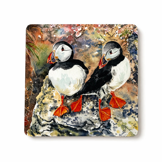 Coaster/Puffin twins