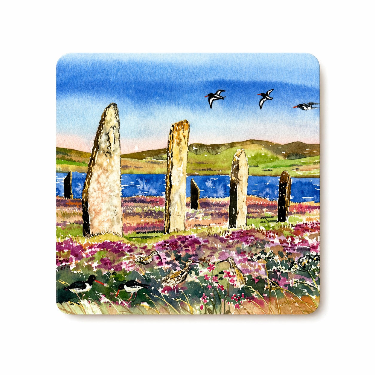 Coaster/Oystercatchers and curlews at The Ring of Brodgar