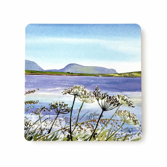 Coaster/Summers day at Stenness loch