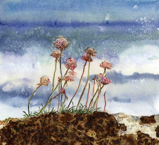 Limited edition print/The last of the seapinks