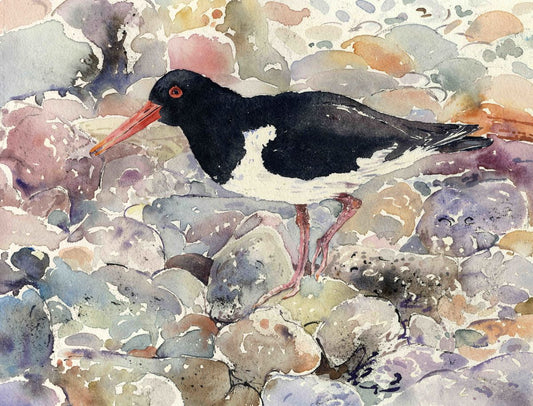 Limited edition print/Oystercatcher on the shoreline
