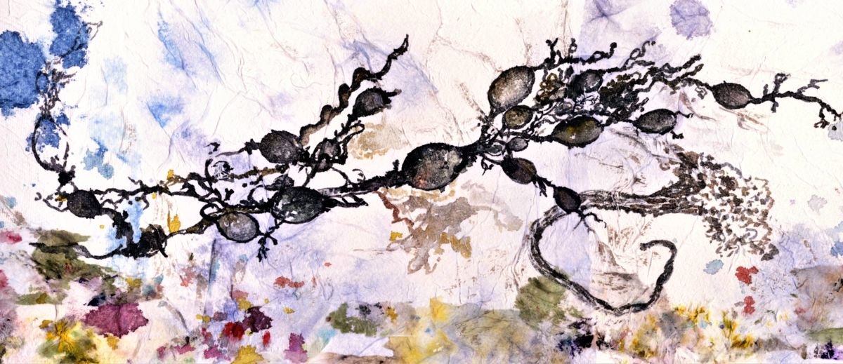 A print from a mixed media painting of seaweed by artist Jane Glue from Orkney, Scotland.