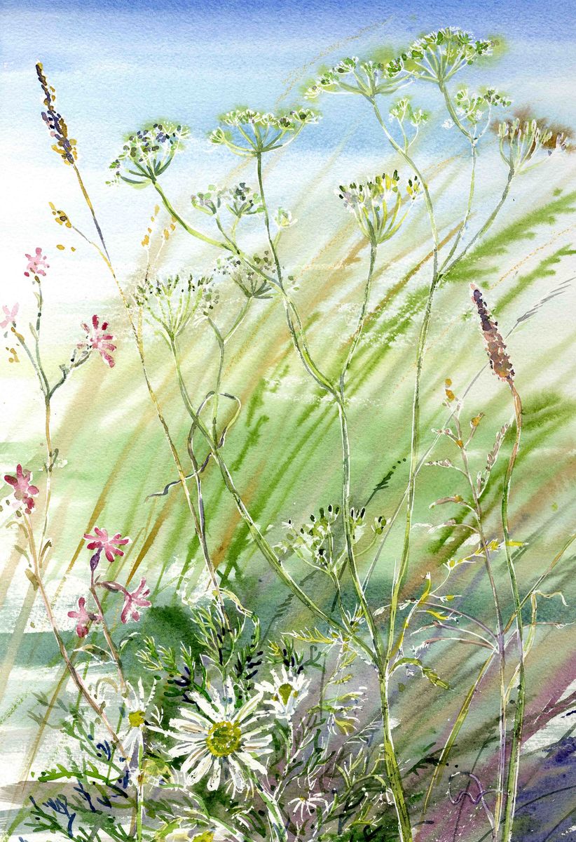 Limited edition print/Wildflowers in the wind