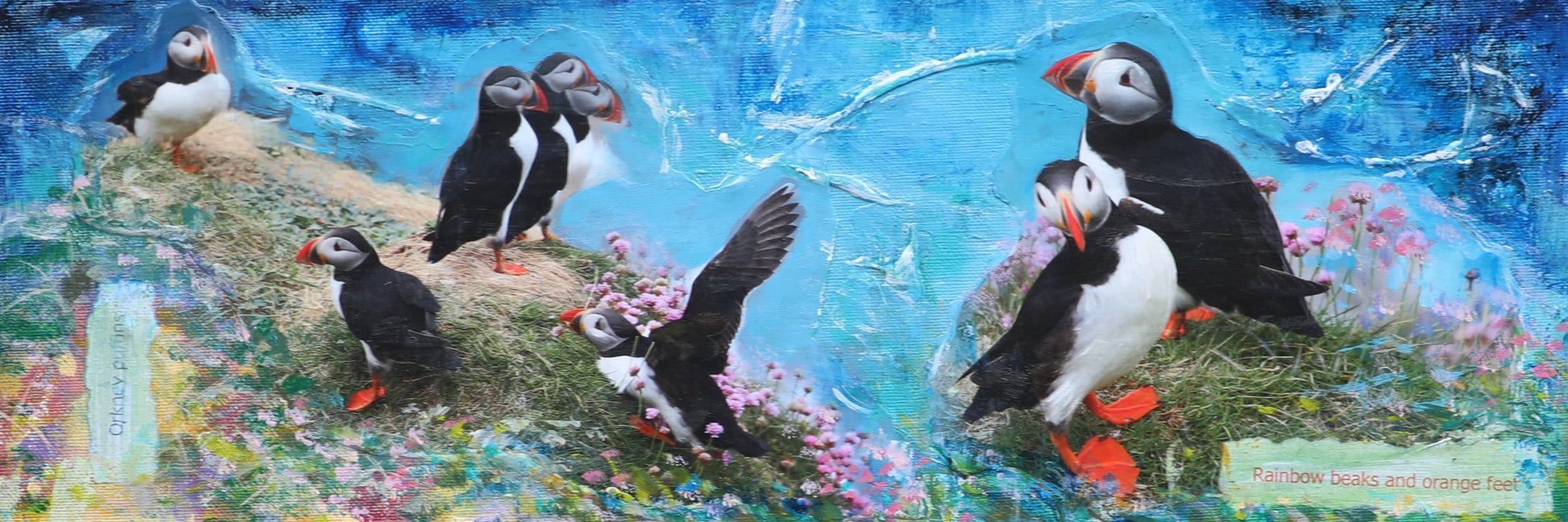limited edition print of a mixed media painting of puffins on a grassy cliff in westray orkney