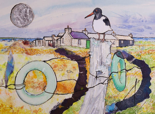 Limited edition print/Cottage and oystercatcher,North Ronaldsay