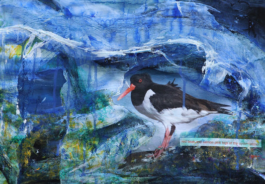 Limited edition print/Red beaks and salmon pink legs of the oystercatcher