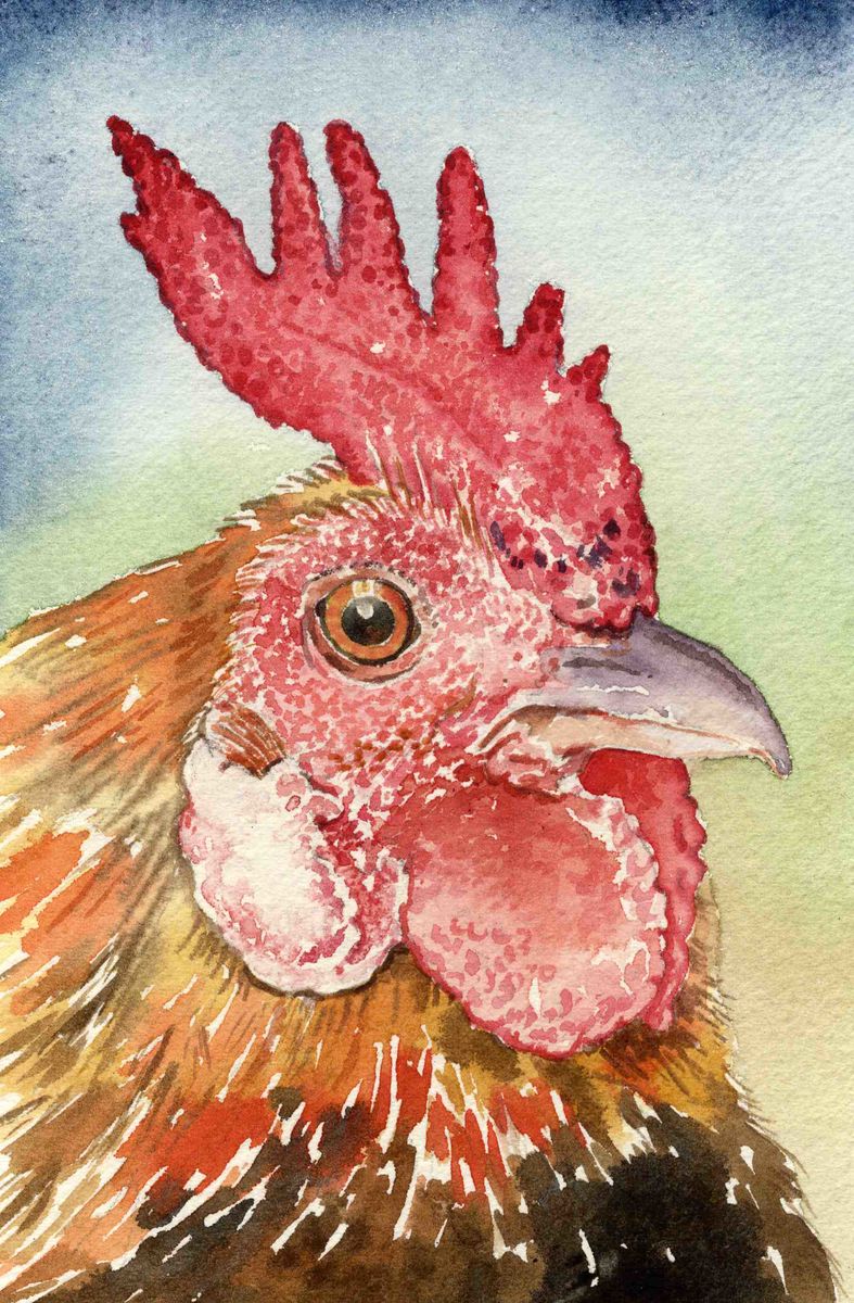 Limited edition print/Cockerel