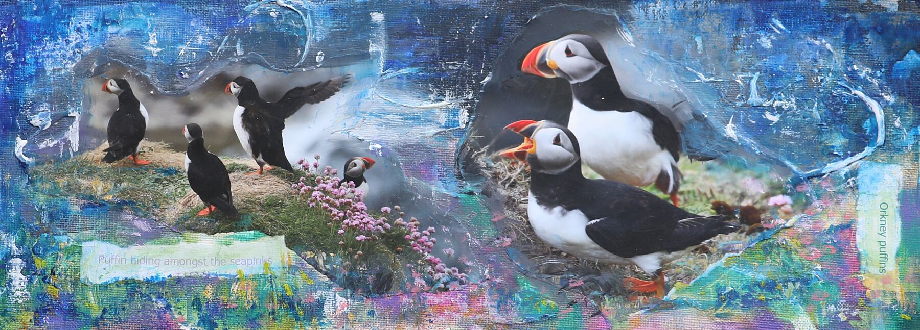 a limited edition print from a mixed media painting of five puffins standing on a cliff with seapinks in westray orkney