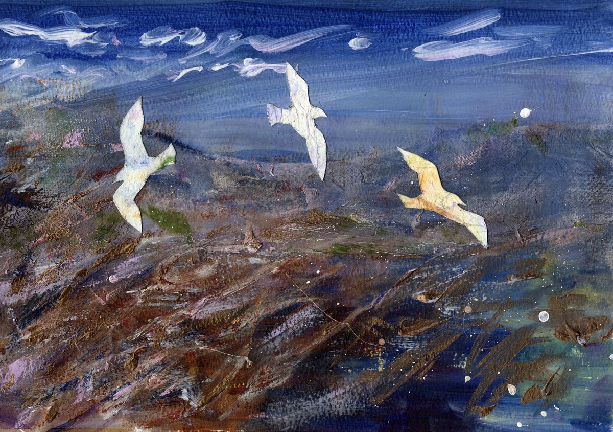 Limited edition print/Winter seagulls
