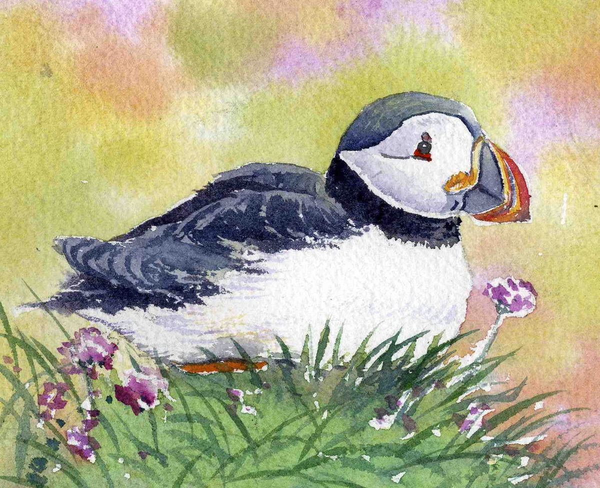 limited edition print of a puffin sitting in grass and seapinks with a light green and pink background