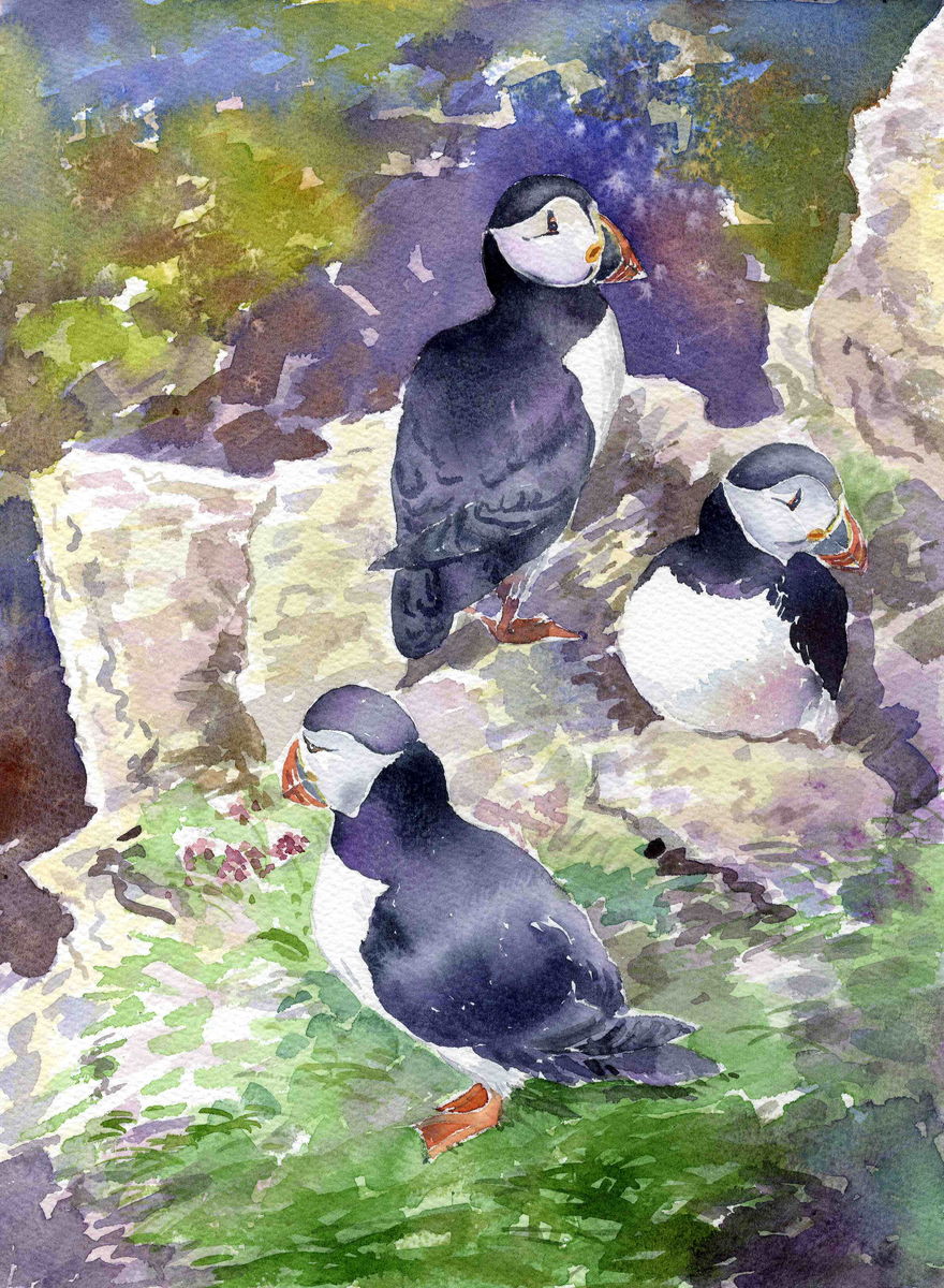limited edition print from a watercolour painting of three puffins on a cliff edge with sea in the background