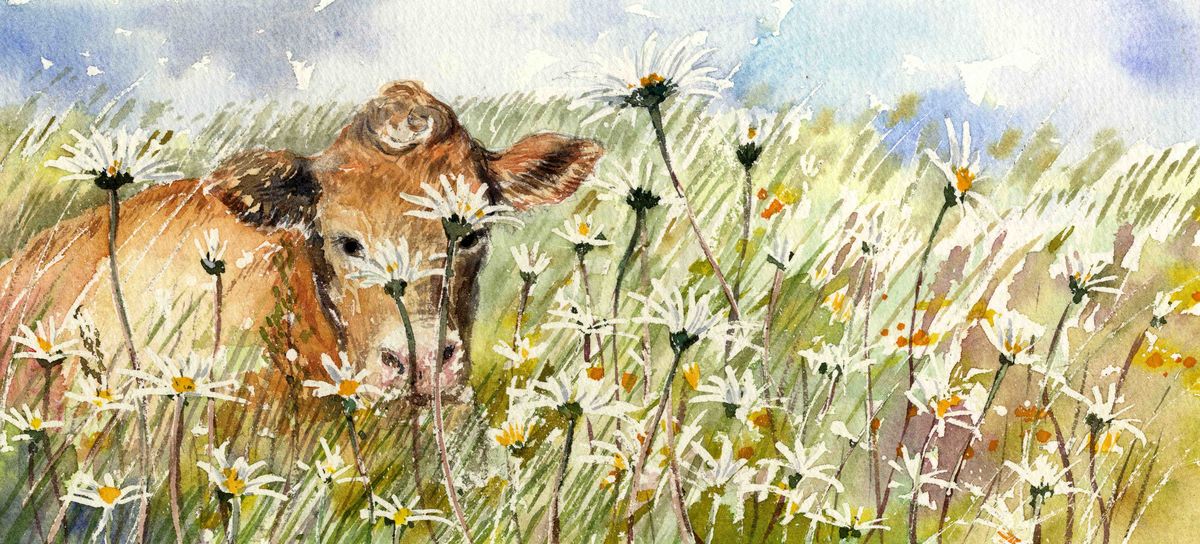 Limited edition print/Cow in a wildflower field