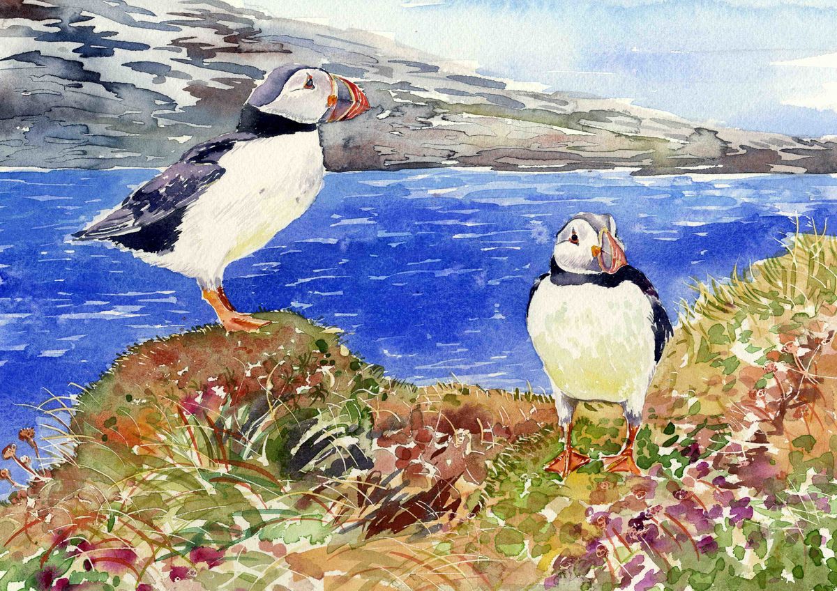 A limited edition print from a watercolour of two puffins standing on a cliff by Orkney artist Jane Glue, Scotland
