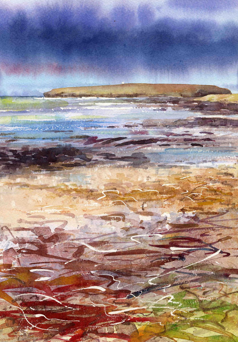 Limited edition print/Winter shore with seaweed at The Brough of Birsay