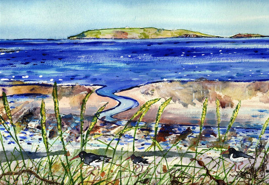 Limited edition print/Seagrass and Oystercatchers, Deerness, Orkney