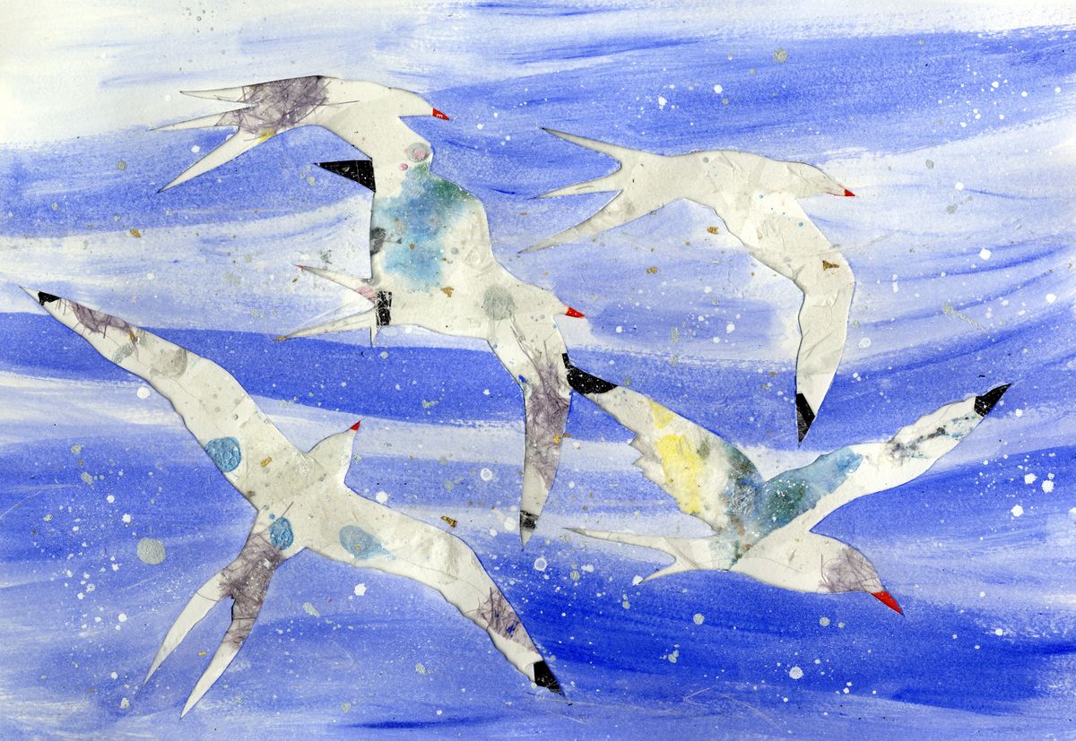 Limited edition print/Terns in flight