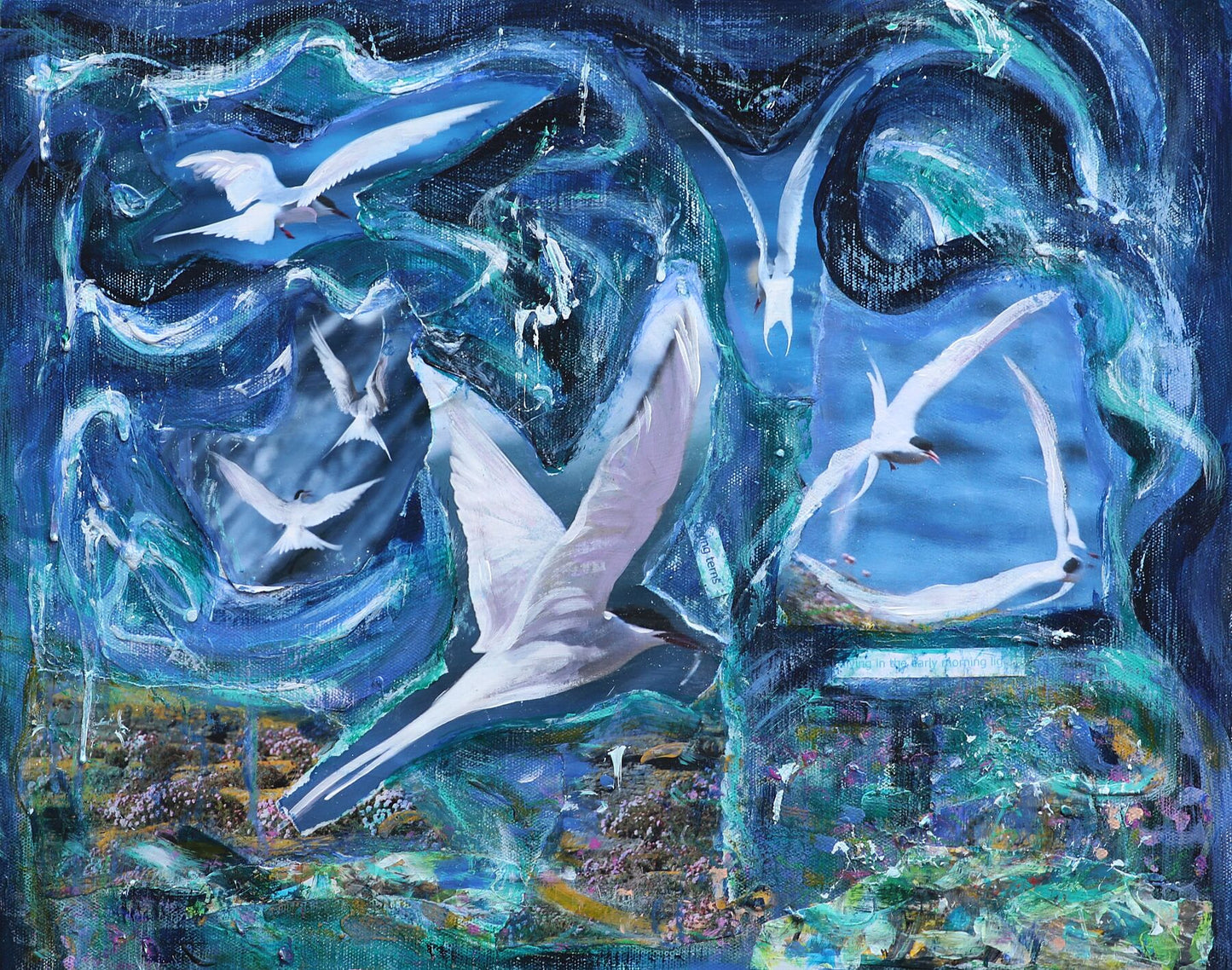 Limited edition print/Terns diving in the early morning