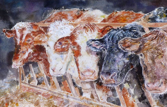 Limited edition print/Rosie's cows