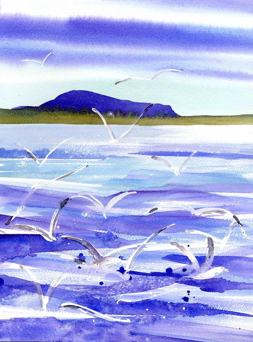Limited edition print/Hoy with bird forms, Orkney