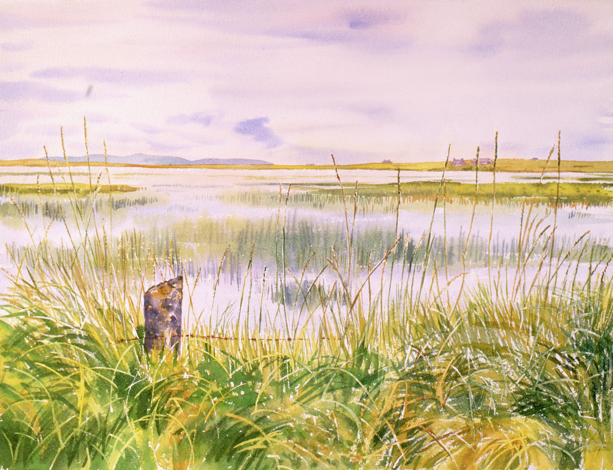 Limited edition print/Seagrass, Westray