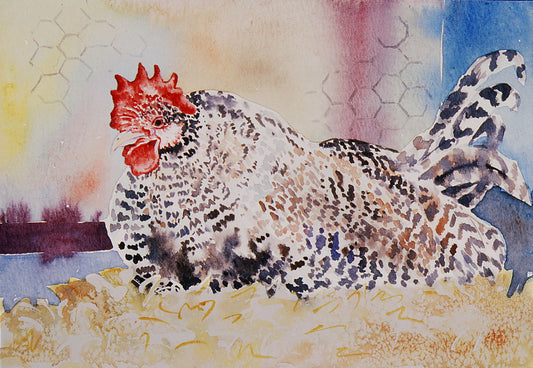 Limited edition print/Silver Wyandote Hen