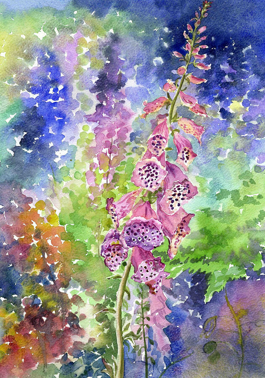 Limited edition print/Foxgloves