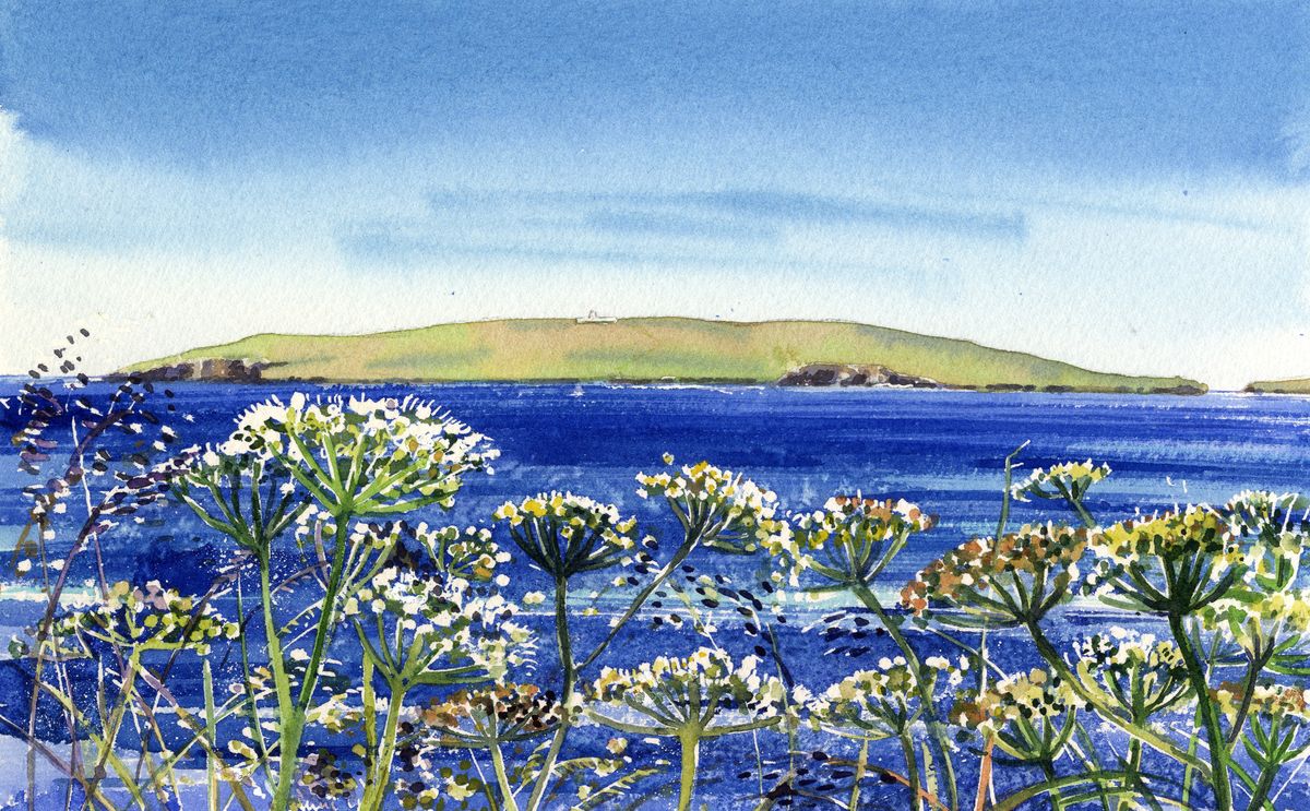 Limited edition print/Cow parsley and Copinsay, Orkney