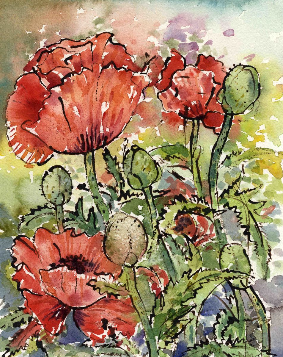 Limited edition print/Garden poppies