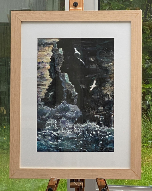 Original painting framed/Gannets and cliffs, Westray