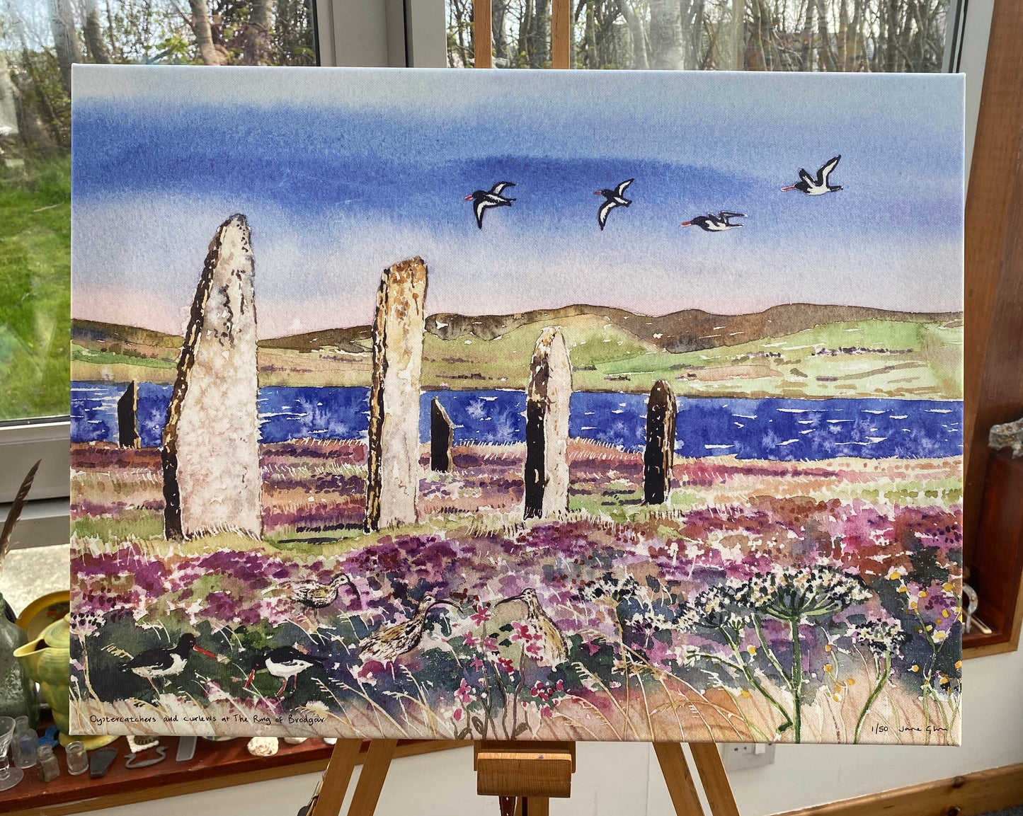 Canvas print/Oystercatchers and curlews at The Ring of Brodgar