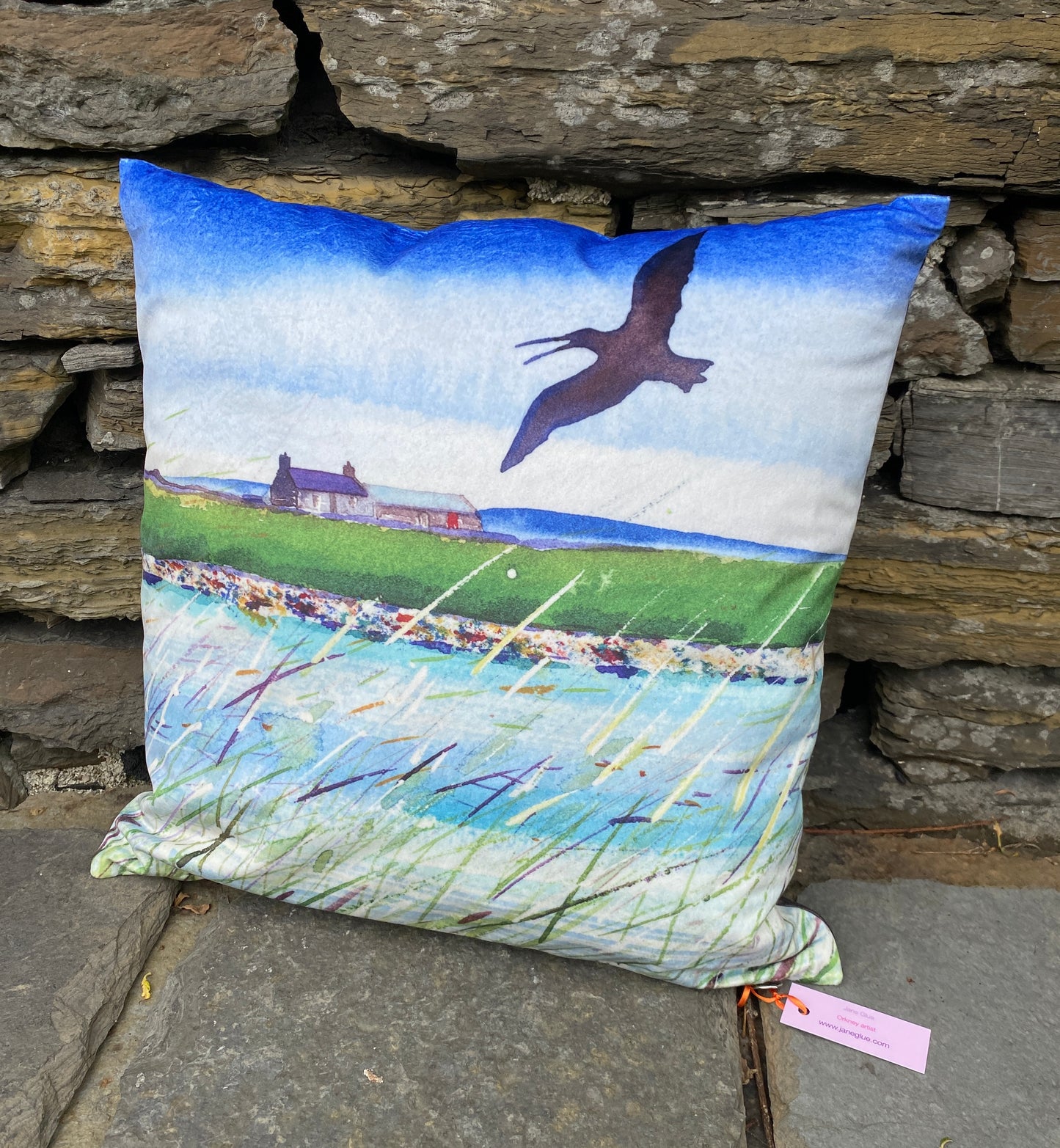 A 16in square velvet cushion printed with a picture of a curlew in flight by Orkney artist Jane Glue, Scotand