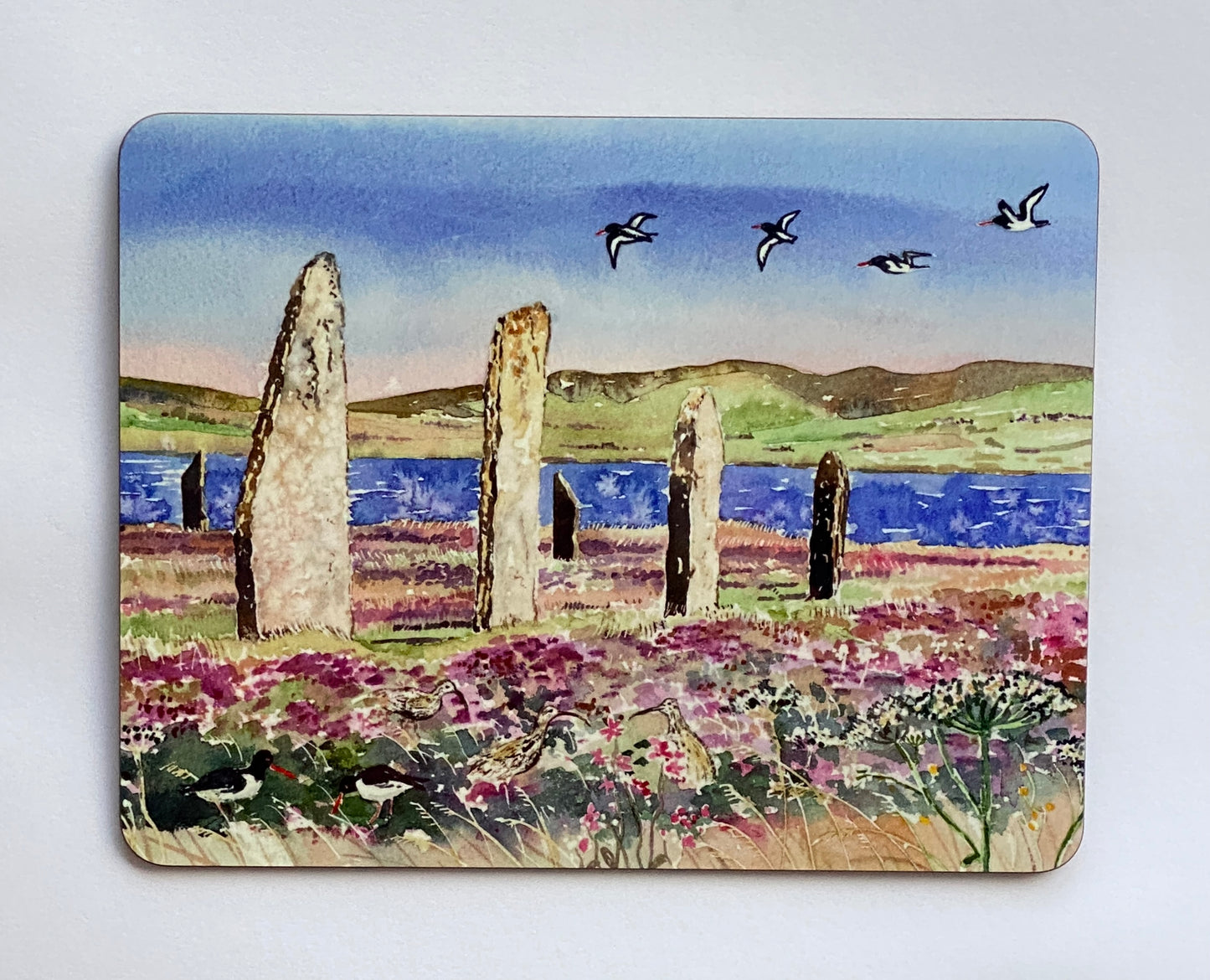 Designer tablemat/Oystercatchers and curlews at The Ring of Brodgar