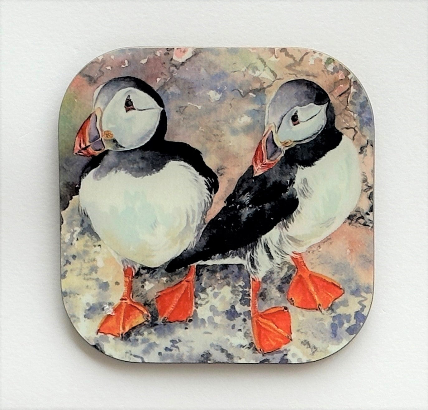 coaster of orkney puffins