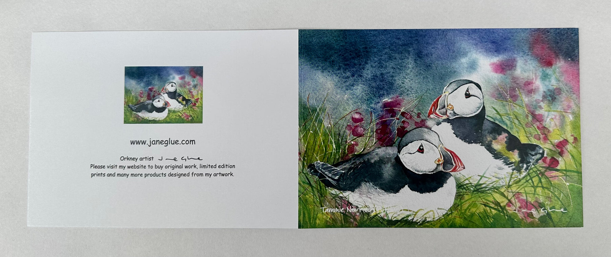 folded blank card of two puffins sitting on a bed of wildflowers