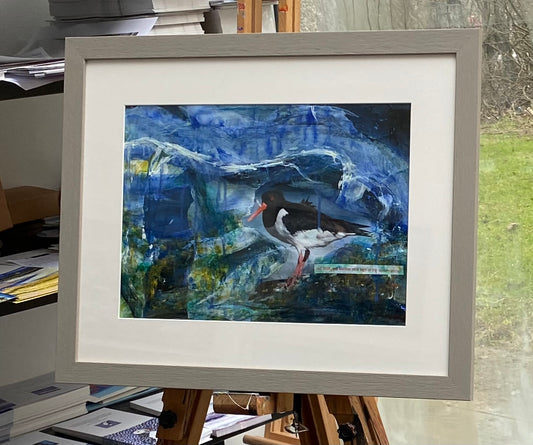 Original painting framed/Red beaks and salmon pink legs of the oystercatcher