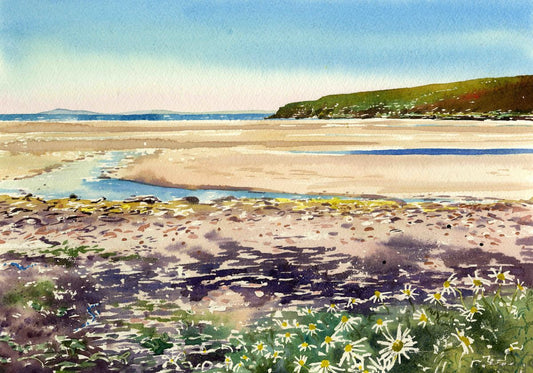Limited edition print/Ox- eye daisies at Waulkmill bay in Orkney
