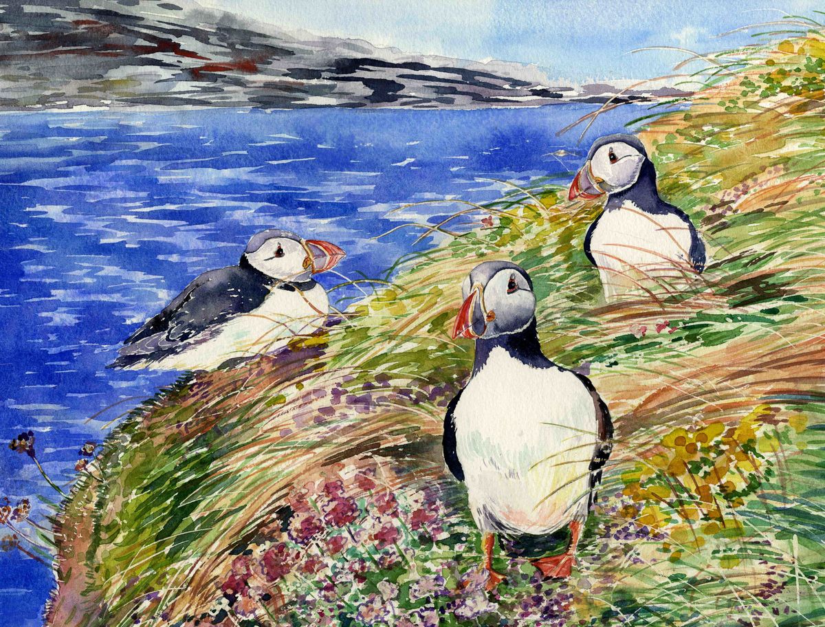 A limited edition print from a watercolour painting of three puffins sitting amongst seapinks and grass by Orkney artist Jane Glue, Scotland